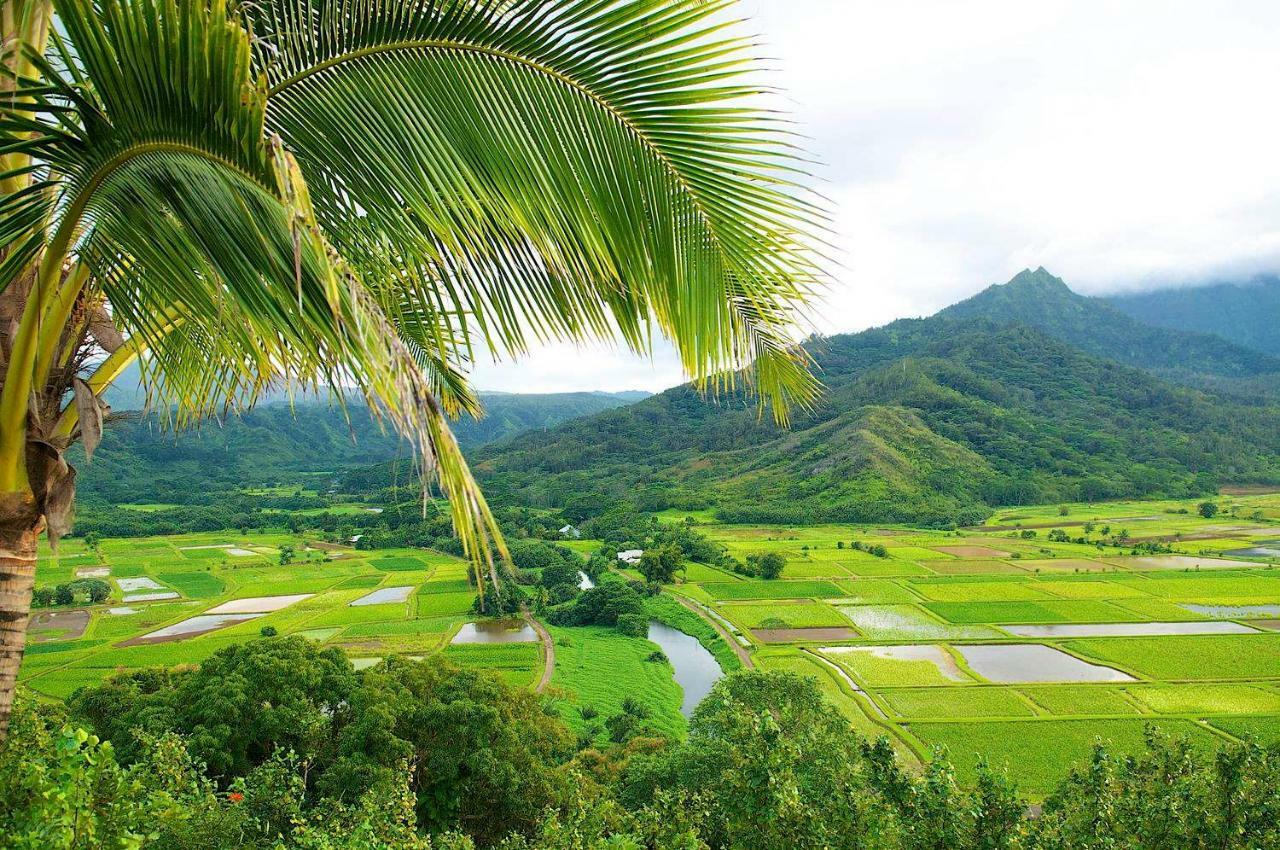 Islander On The Beach 352 Oceanfront *Penthouse* Ac Pool Kapa'a Exterior foto